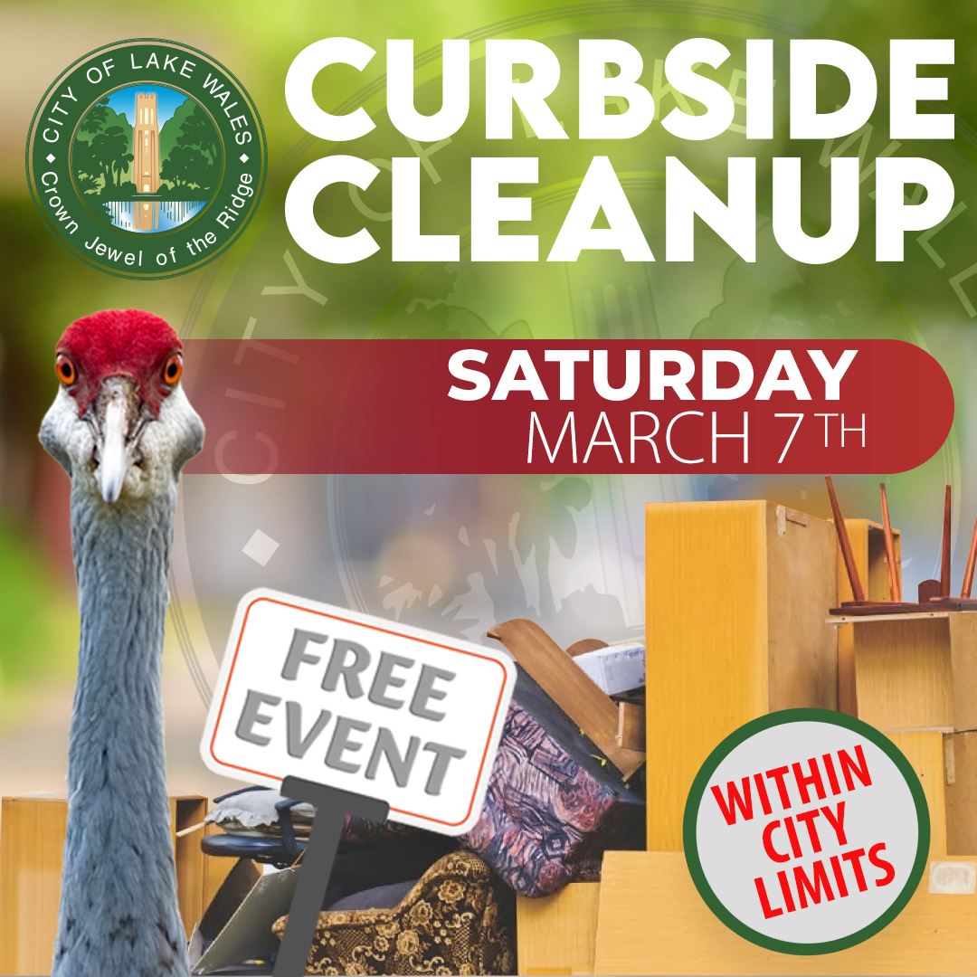 Curnside Cleanup_New_2026