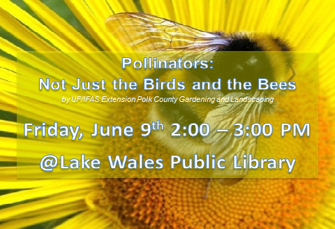 Pollinators Class