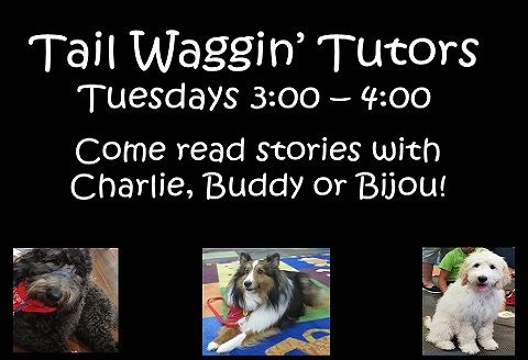 Tail Waggin Tutors fall 18b