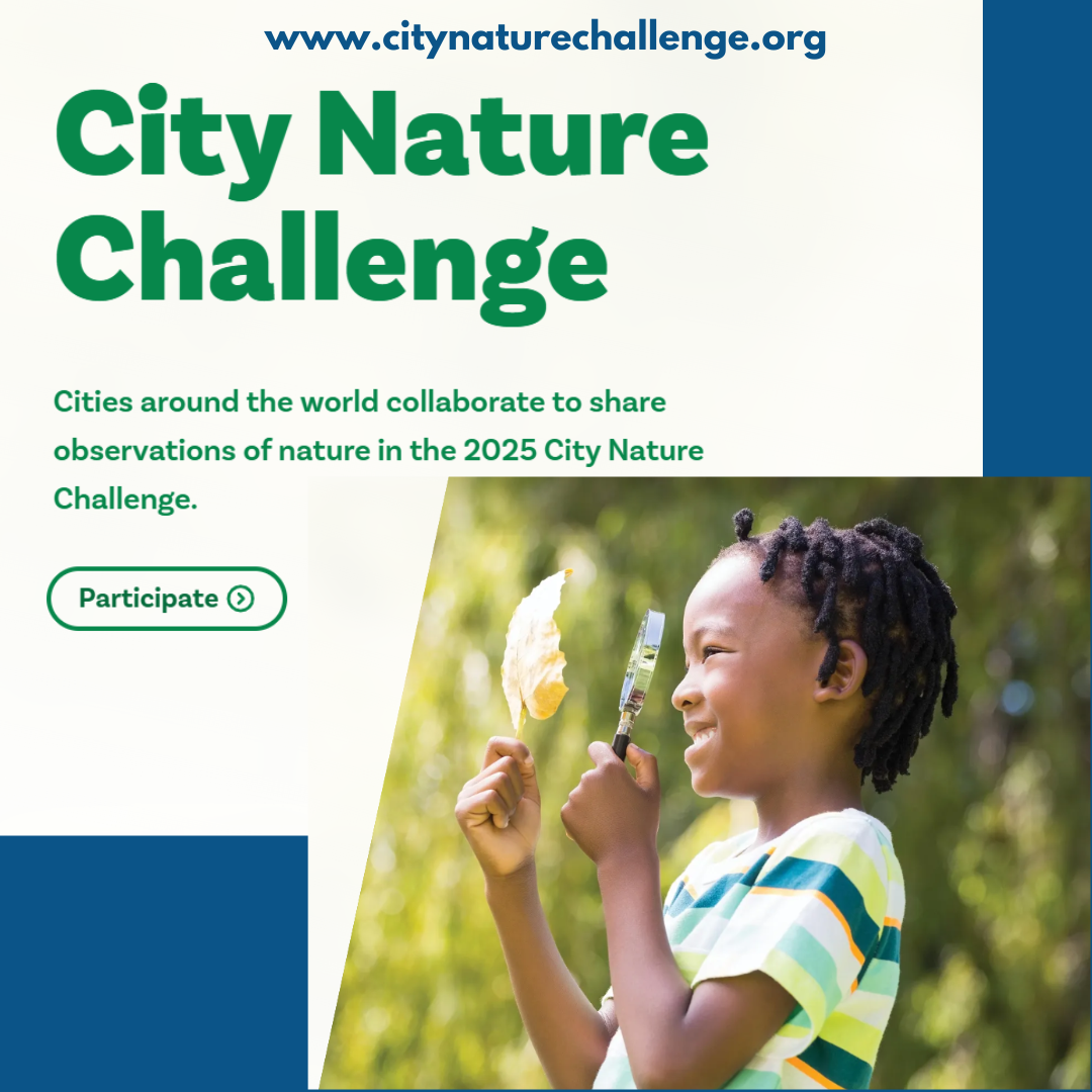 City Nature Challenge 2
